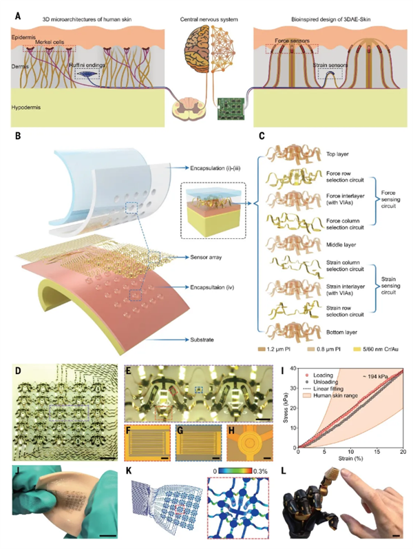 清华研制出世界首款具仿生三维架构电子皮肤：压力感知分辨率仅0.1毫米