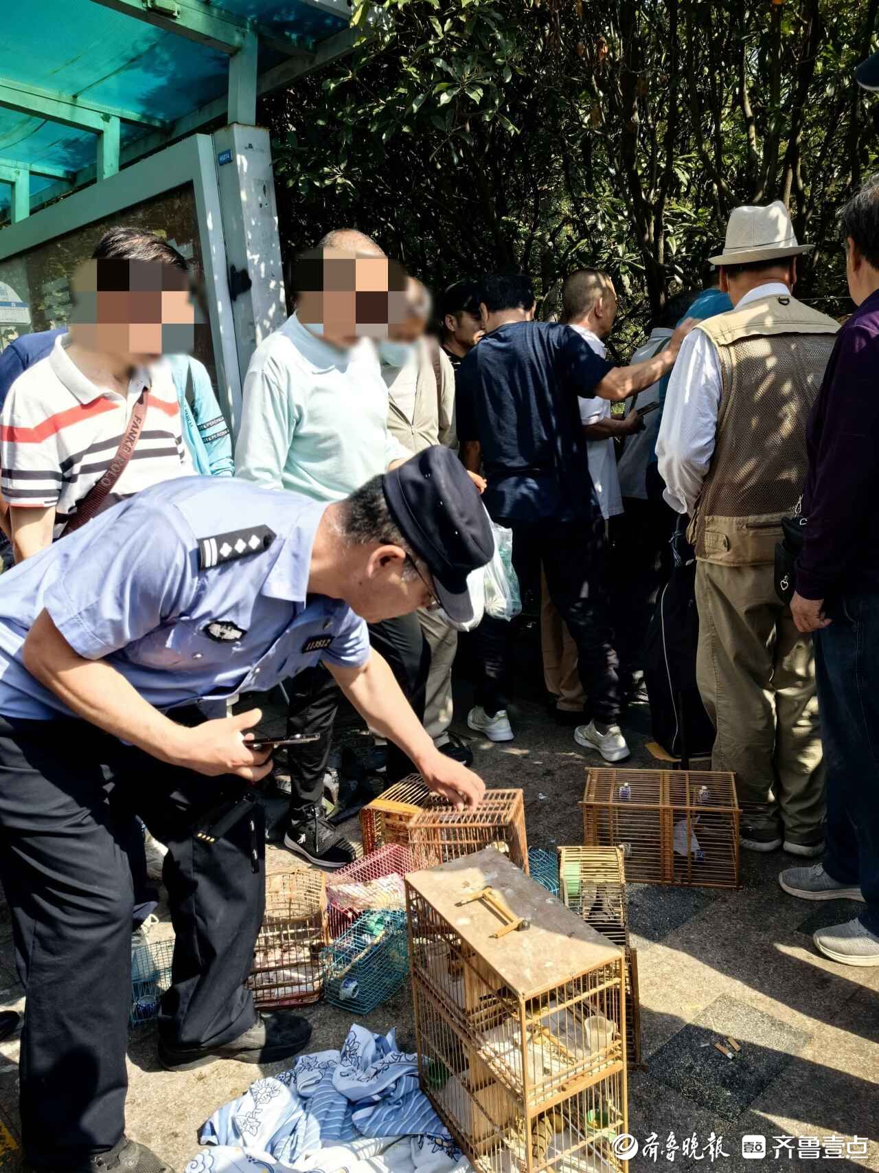 解救放飞180余只野生小鸟市北多部门联合查处非法鸟市