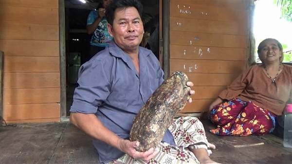 泰国男子为治痛风吃鲸鱼呕吐物：每日一勺融入热水(泰国鲸鱼误食垃圾袋)