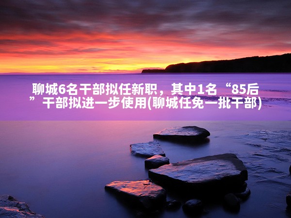 聊城6名干部拟任新职，其中1名“85后”干部拟进一步使用(聊城任免一批干部)