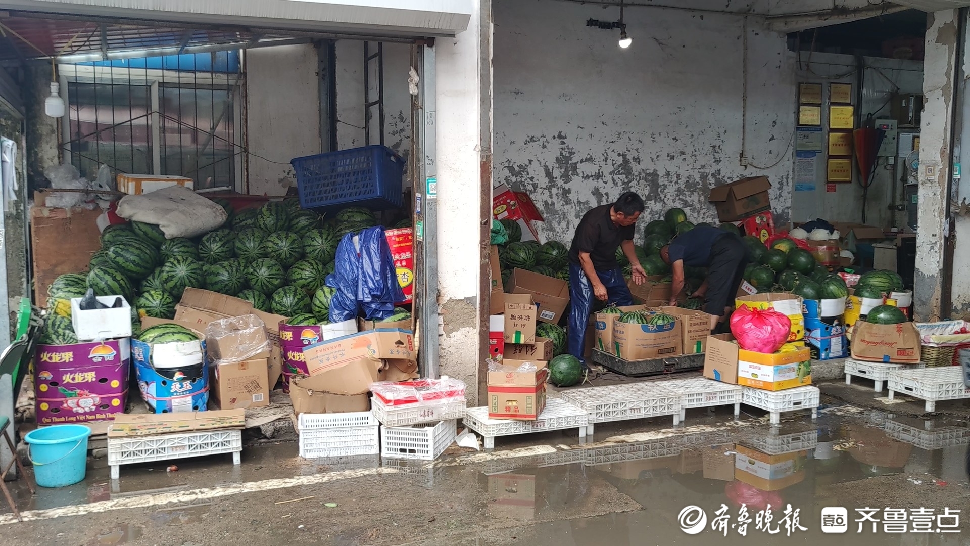 济南蔬菜价格小幅波动略有上涨，水果价格平稳