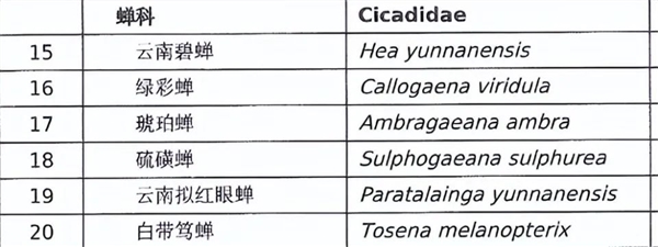 甘肃37人抓野蝎子被捕缴获2.1万只价值20多万捉蝎子也违法？