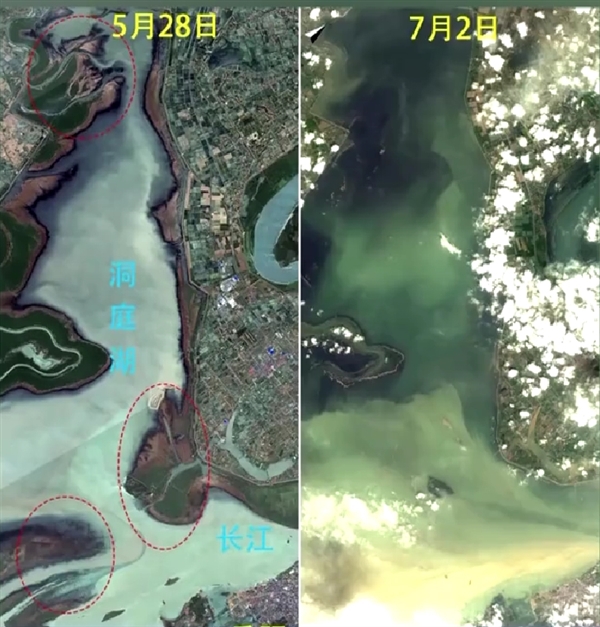 洞庭湖遭洪水涌入前后卫星影像对比图：大片草甸、陆地被完全淹没