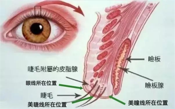 那些纹美瞳线的人现在都怎么样了？