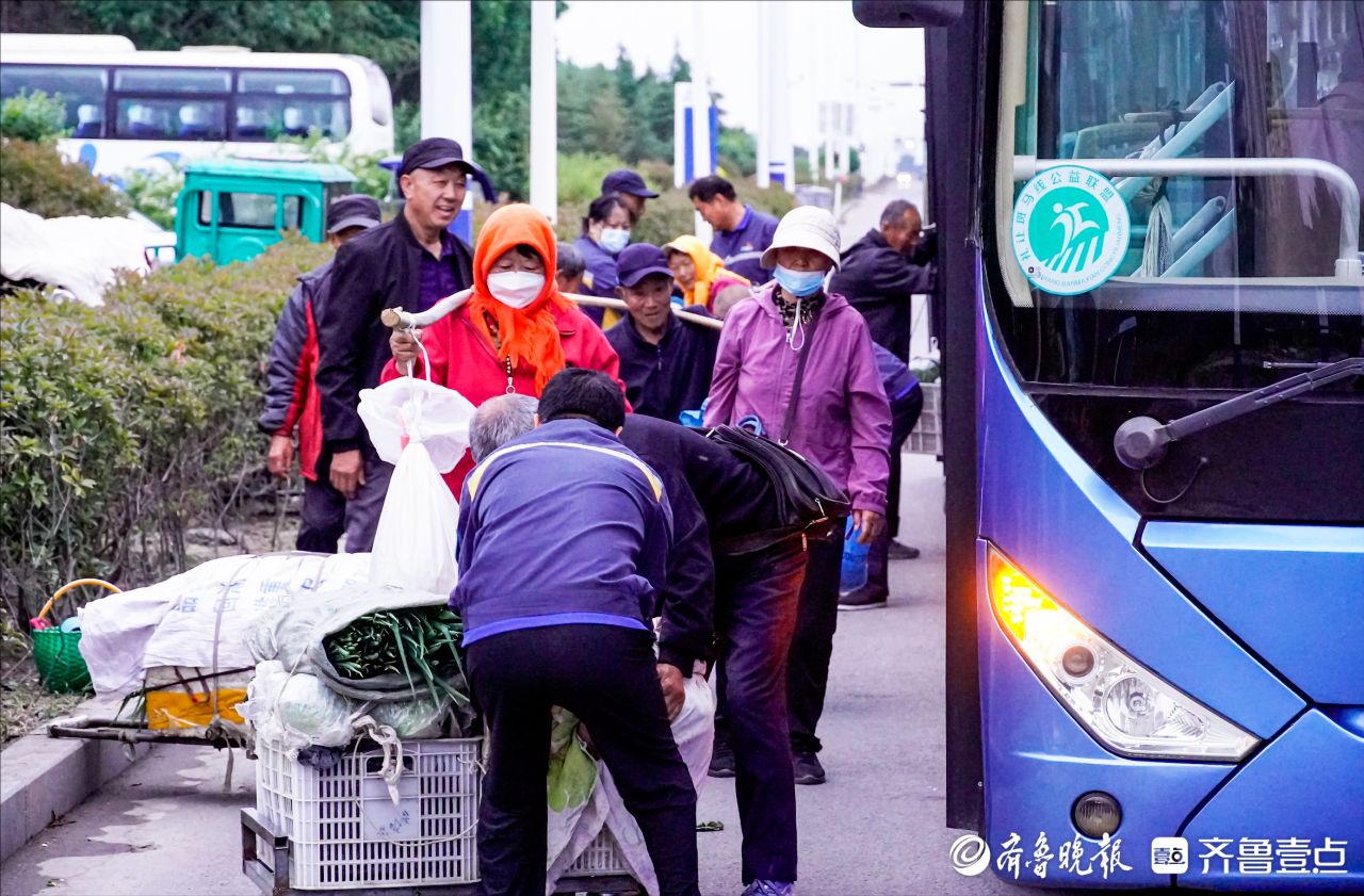 直达农贸市场门口！青岛真情巴士26路“菜农专线”服务再升级