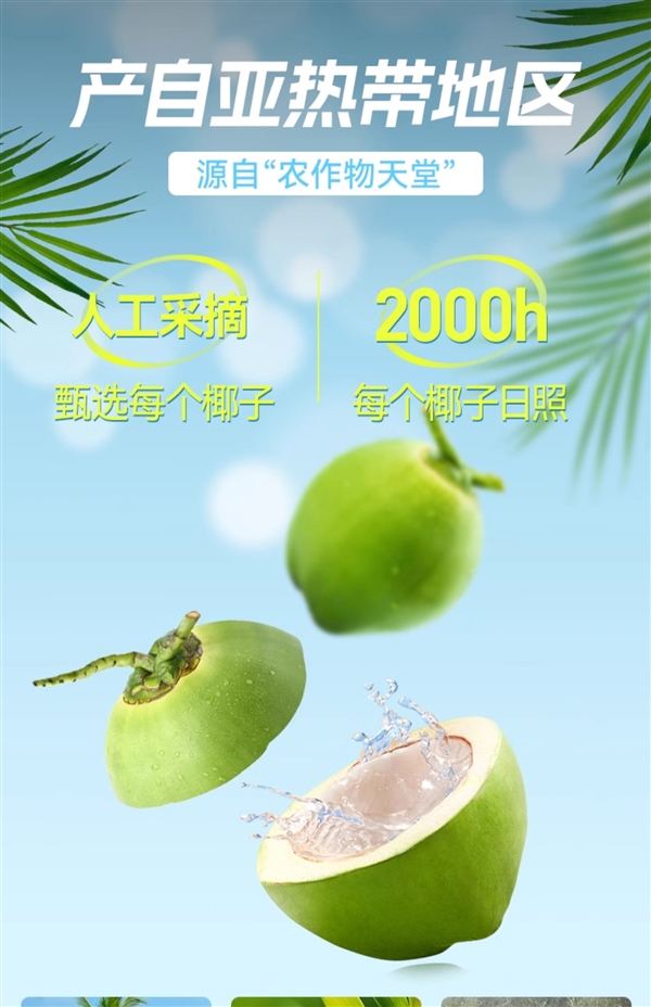 配料表只有椰子水！海蓝优鲜椰子水大促：两件券后19.8元