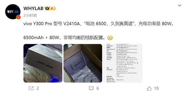 vivoY300Pro即将发布：80W快充 6500mAh大电池