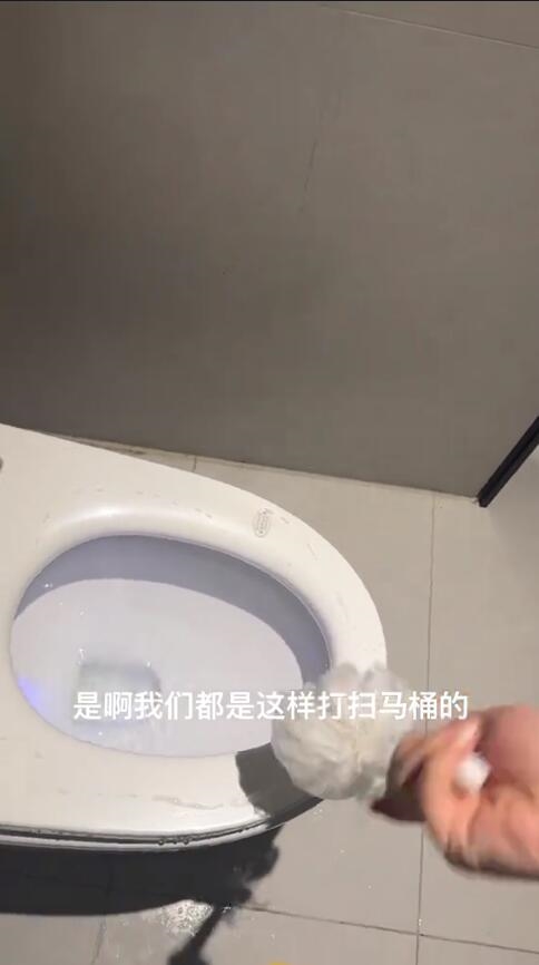 酒店竟用马桶刷蘸马桶水刷马桶员工：又不是下水道的水