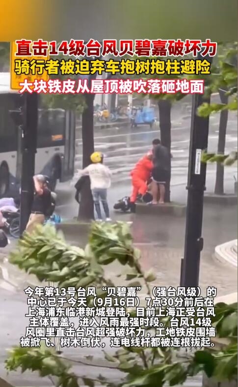 台风侵袭骑车人被迫弃车抱树